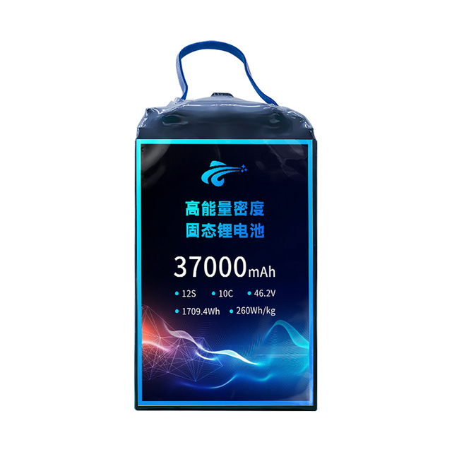 Lead 260mAh 12s1p