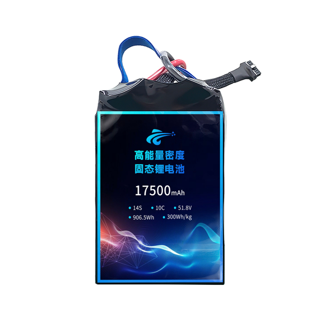 Lead 300 mAh 14s1p